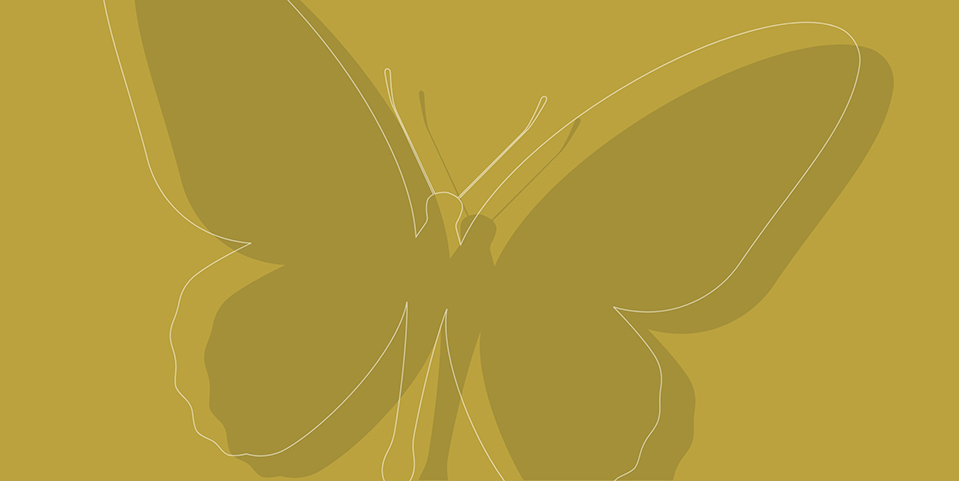 yellow background with a white line drawing of a butterfly.