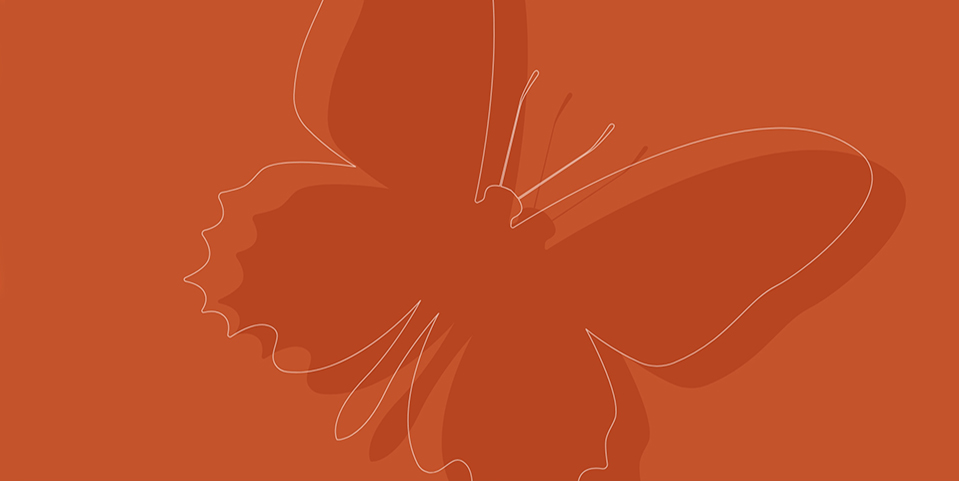 Orange background with a white line drawing of a butterfly.