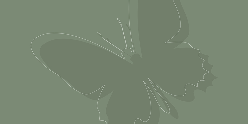 Green background with a white line drawing of a butterfly.