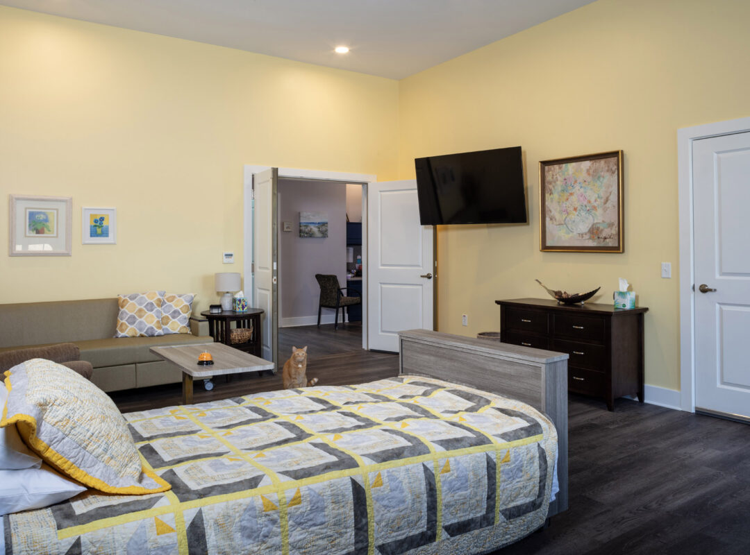 A yellow bedroom with lots of windows, a bed, desk, chairs, and a sofa. The cat is sitting in the room.